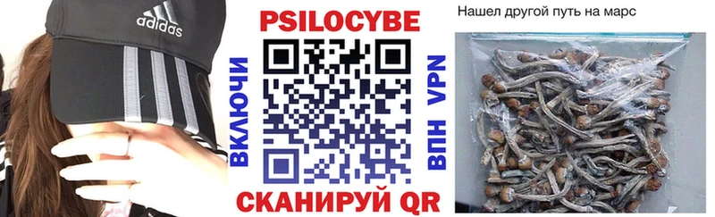 Псилоцибиновые грибы Psilocybine cubensis Темрюк